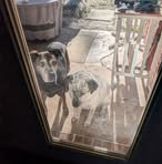 Deborah Driver - Facebook