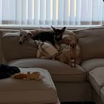 Deborah Durand - @deborahdurand1948 - Instagram