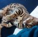 Deborah Durham - Facebook