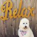 Deborah Ebner - Facebook