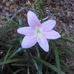 Deborah Edmonds - Facebook