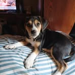 Deborah Mills Elkins - Facebook
