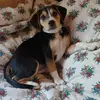 deborahelkins443 - @deborahelkins443 - TikTok