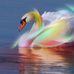 Deborah Elmore - Facebook