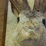 DLKF - @deborahfagandk - Instagram
