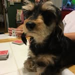Deborah farley - @_grammy_daisy_64 - Instagram