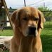 Deborah Farris - Facebook