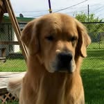 Deborah Farris - @gramfarris - Instagram