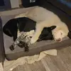 deborahfarris09 - @deborahfarris09 - TikTok