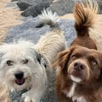 Deborah Field - @deborah.field.10 - Instagram
