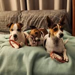 Deborah Field - @deborah.j.fielding - Instagram