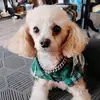 l0stfilesofdeborah! - @l0stfilesofdebora - TikTok