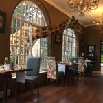 Deborah Firth - @dolphinmad2004 - Instagram