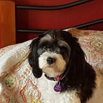 Deborah Flowers - @debsyflowers - Instagram