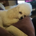 Deborah Flowers - Facebook