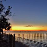 Deborah Forrest - @deborahforrest766 - Instagram