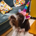 Deborah Forrest - @purdeylily123 - Instagram
