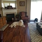 Deborah Forrest - @deborahforrest9 - Instagram