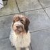 Deborah Forrest - Facebook