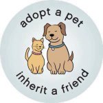 Debbieforrester - @deborahforrester - Instagram