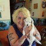 Deborah Forrester - @deborah.forrester - Instagram