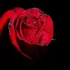 Deborah Friday - @deborahfriday78 - TikTok