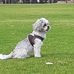 Debbie Fulcher - Facebook