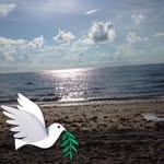 Deborah Gaffney - @deborah.gaffney.9 - Instagram