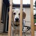 Deborah Gall - Facebook