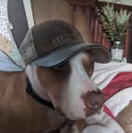 Deborah Galusha - Facebook