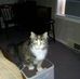 Debbie Gamache-Merril - Facebook