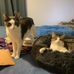 Debbie Houser Gamache - Facebook