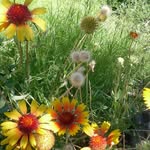Deborah Gantt-Nagelin - @jensani38 - Instagram