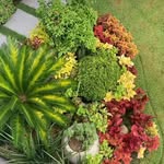 deborah garden e paisagismo - @debo.rahgarden - Instagram