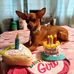 Deborah Gorden - Facebook