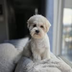 Deborah J Garden - @djunegarden - Instagram