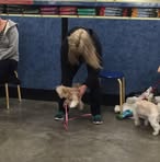 Deborah Garneau - Facebook