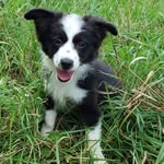 Deborah Garner - @deborahgarner4751 - Instagram