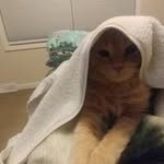 Deborah A. Gauthier - @deborahgauthier68 - Instagram