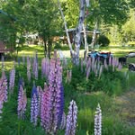 Deborah Gauthier - @debgauthier2.dg - Instagram