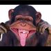 Deborah Gerlach - Facebook
