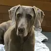 Deborah Gibbons - @deborah.gibbons16 - TikTok