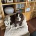 Deborah Gill - Facebook