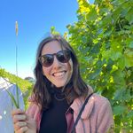 Deborah Glick - @debglick_ - Instagram