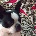 Deborah Goff - Facebook