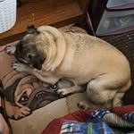 Deborah J. Goodine - @deborahgoodine - Instagram