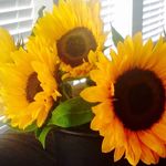 Deborah Goulet - @deborah.goulet - Instagram