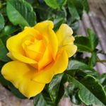 Deborah Graves - @debbee_g61 - Instagram