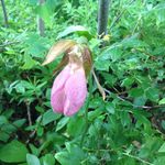 Deborah Graves - @deblyn1955 - Instagram
