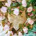 Debra Graybeal - Facebook
